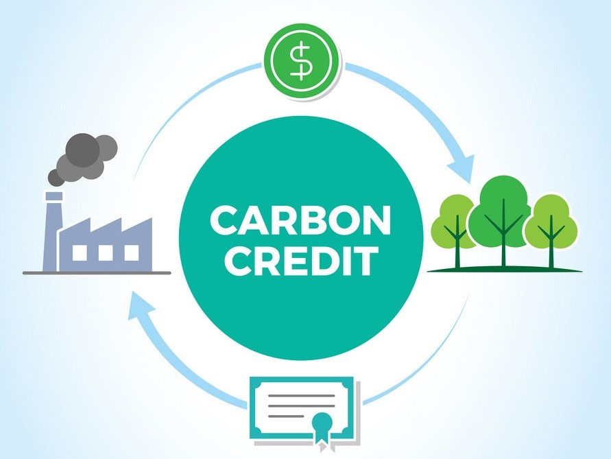 Expert Carbon Credit Consulting Services for Global Enterprises