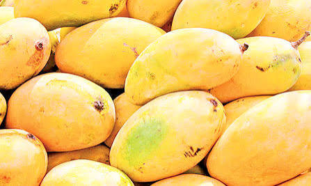 Pakistani Mango Price in Pakistan